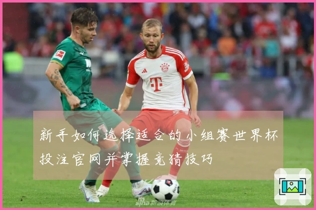 新手如何选择适合的小组赛世界杯投注官网并掌握竞猜技巧