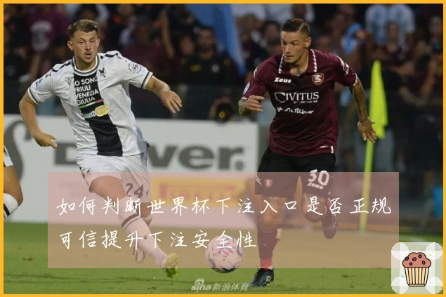 如何判断世界杯下注入口是否正规可信提升下注安全性