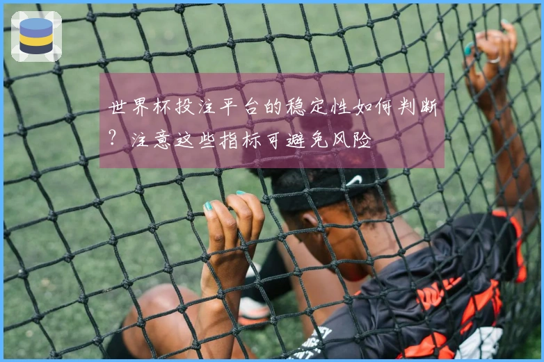 世界杯投注平台的稳定性如何判断？注意这些指标可避免风险