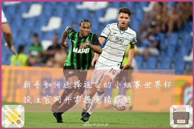 新手如何选择适合的小组赛世界杯投注官网并掌握竞猜技巧